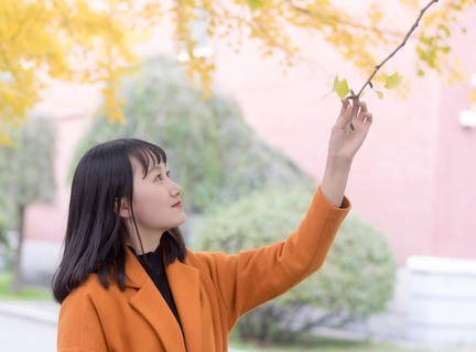 中留服认证的菲律宾大学